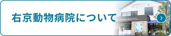 右京動物病院について